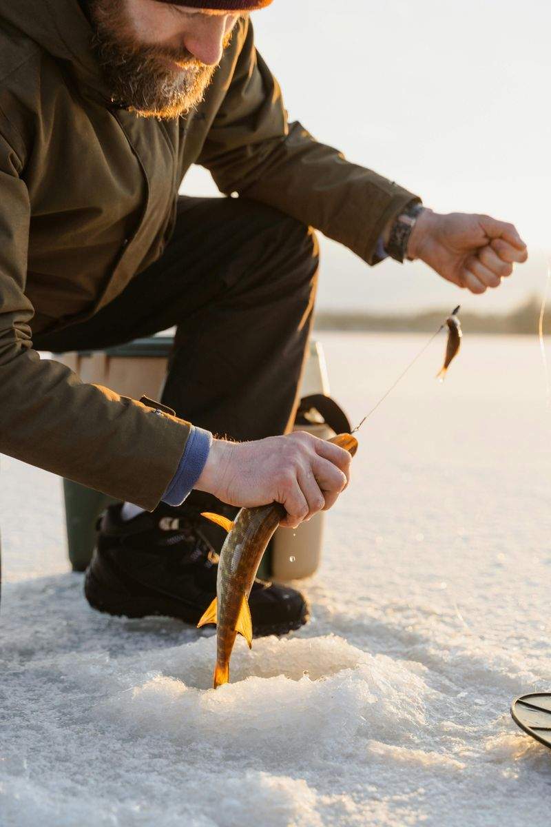 Cómo seleccionamos pescado fresco para cada jornada