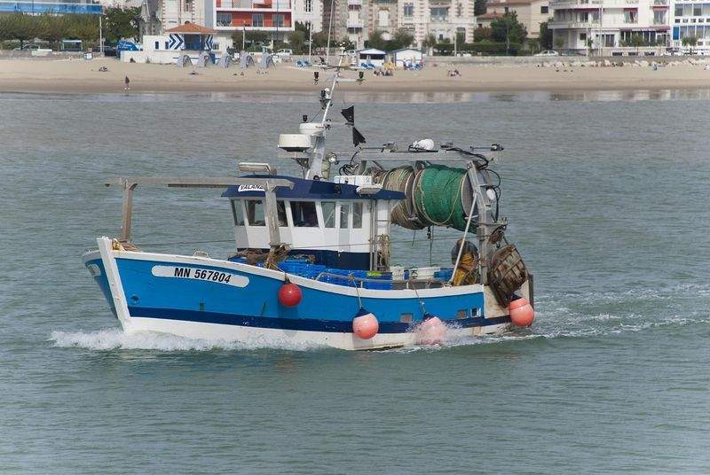 Pesquerías Atlánticas del Sur 4