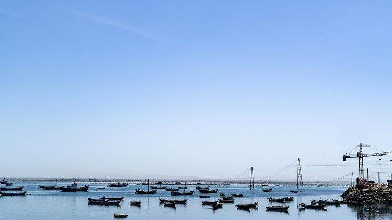 Pesquerías Atlánticas del Sur 8