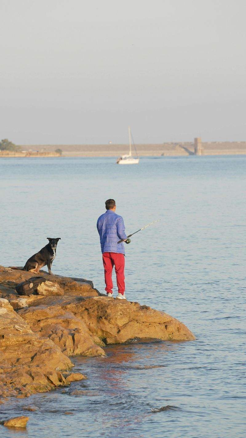 Pesquerías Atlánticas del Sur